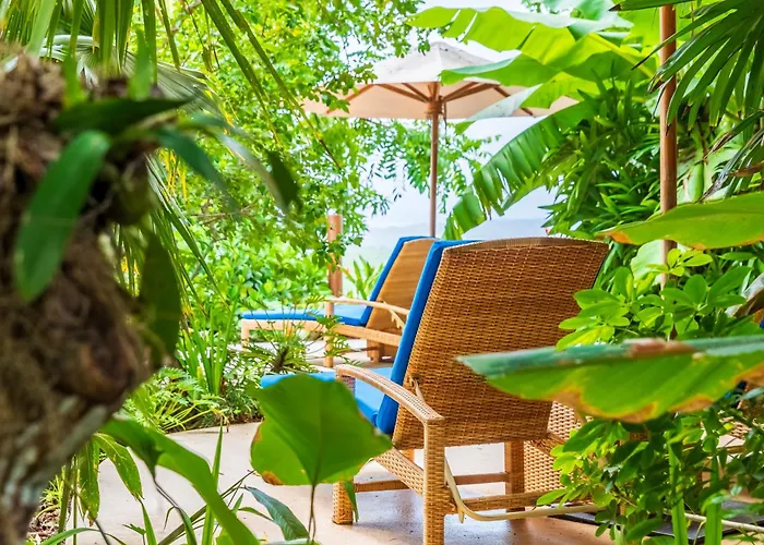 Boutique Lagarta 4*